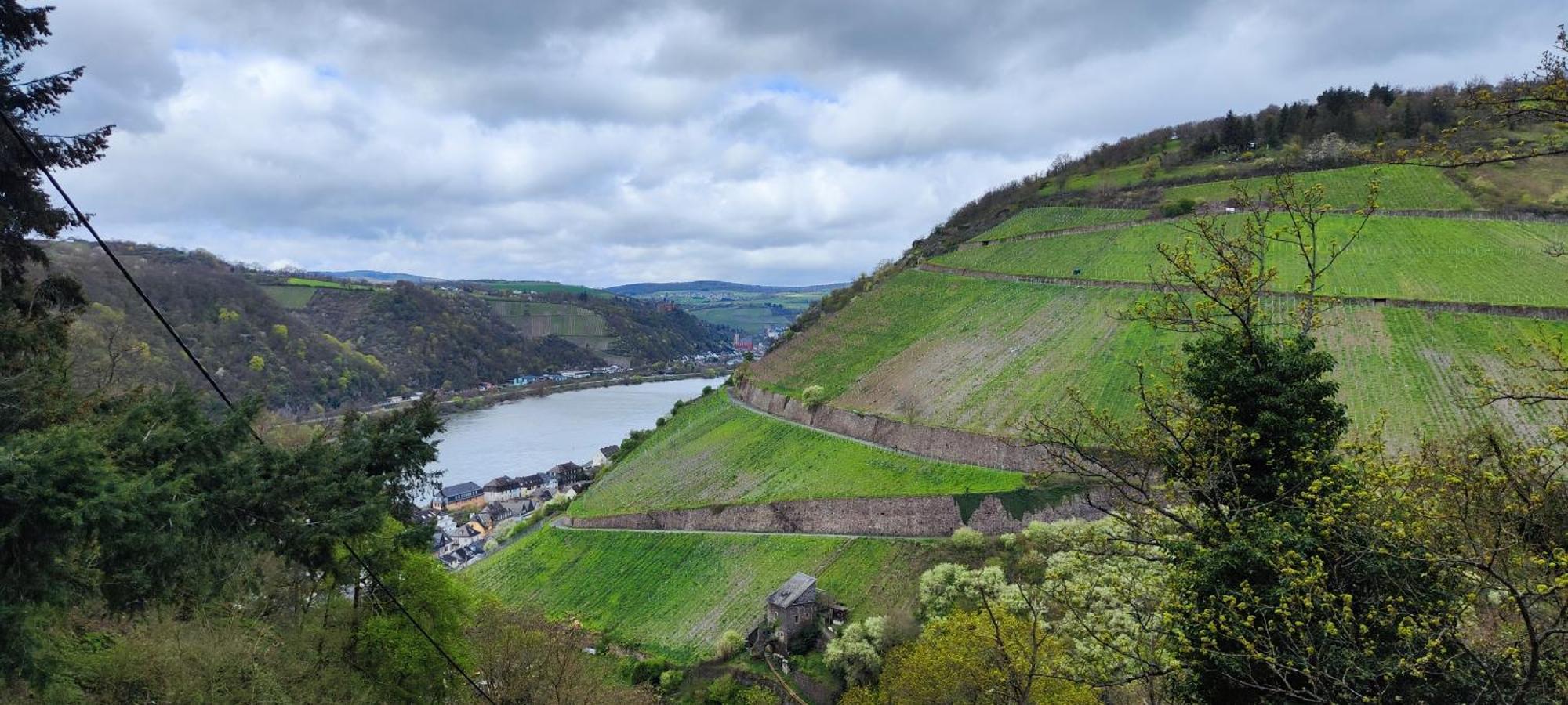 Gemuetliche Wohnung, Kueche, Bad, Netflix, Rheinblick Kaub Buitenkant foto