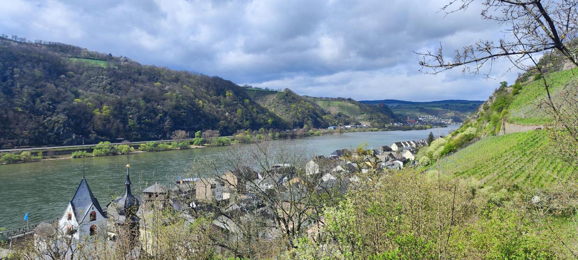 Gemuetliche Wohnung, Kueche, Bad, Netflix, Rheinblick Kaub Buitenkant foto