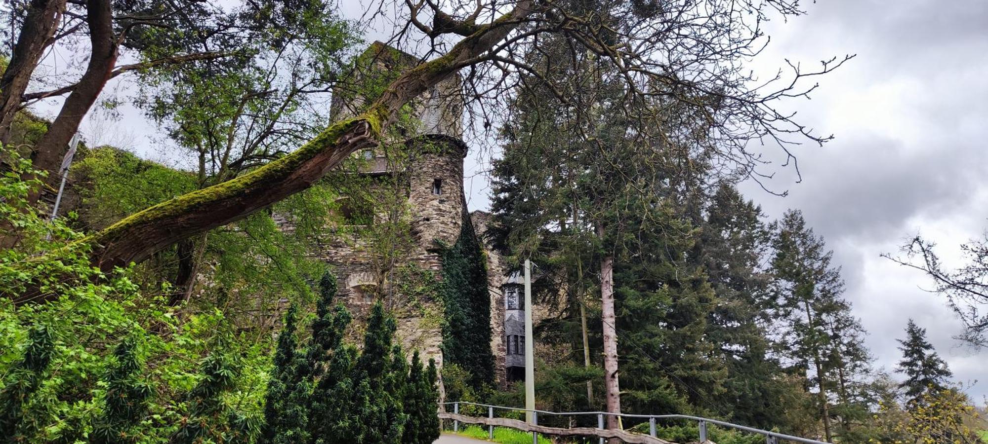 Gemuetliche Wohnung, Kueche, Bad, Netflix, Rheinblick Kaub Buitenkant foto